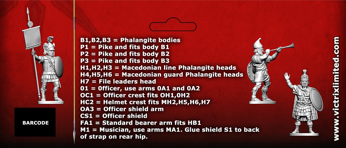 Macedonian Phalangites